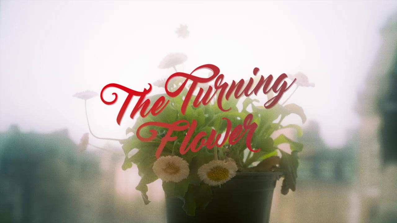 The Turning Flower